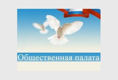 В Саратове появится городская Общественная палата