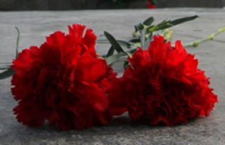 В саратовской школе увековечат память Лилии Бочаровой