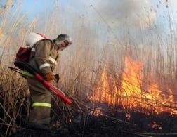 В 7 районах области установлен 5-й класс пожарной опасности