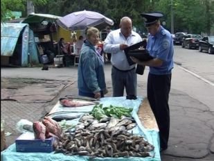 В Ртищево продавалась рыба без документов