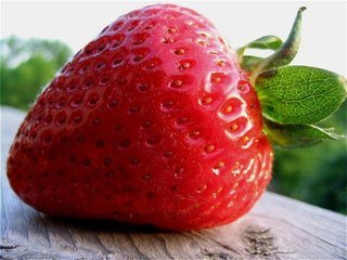 Балаково готовится ко второму фестивалю клубники