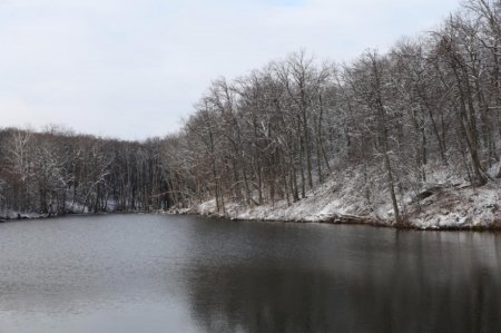 В Саратовской области активно создают новые памятники природы 