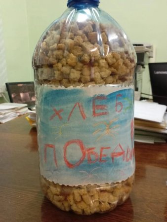 Воспитанники казачьего детского сада приняли участие в Акции "Хлеб Победы"