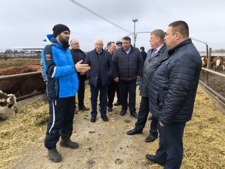 Грантовая поддержка семейных ферм позволяет внедрять современные технологии Грантовая поддержка семейных ферм позволяет внедрять современные технологии