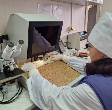 Свыше 15 тонн небезопасных продуктов изъяли из оборота специалисты госветслужбы