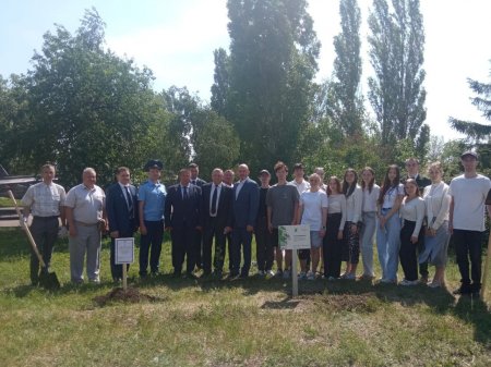 В Саратове в Парке Победы высадили саженец тополя-героя Сталинградской битвы 