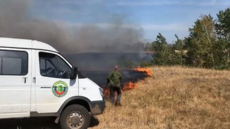 В Саратовской области снова введено ограничение пребывания граждан в лесах
