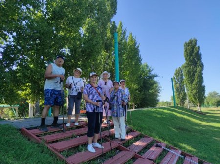 В пунктах проката «Активное долголетие» можно взять велосипеды и скандинавские палки 