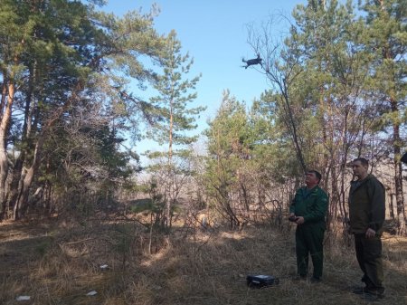 Саратовские лесхозы оснащают беспилотными летательными аппаратами для борьбы с пожарами