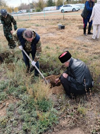 В Александровом Гае заложили Аллею дружбы 