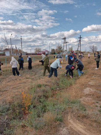 В Александровом Гае заложили Аллею дружбы 