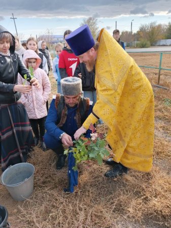 В Александровом Гае заложили Аллею дружбы 