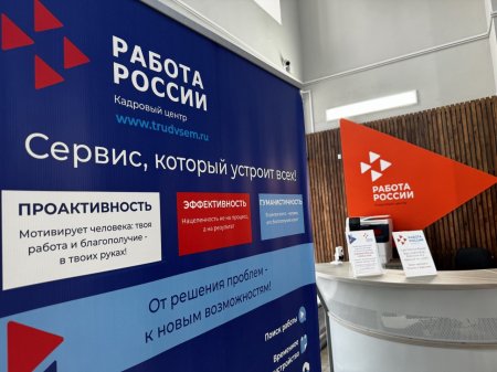 С начала года через кадровые центры работу нашли 11,3 тысячи человек