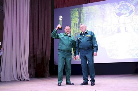 Названы лучшие лесничество и лесхоз Саратовской области