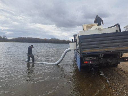 Заказчик строительства нового моста выпустил в Волгу почти 4 млн ценных видов рыб