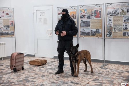Саратовская молодежь встретилась с ветераном спецподразделения Росгвардии Саратовская молодежь встретилась с ветераном спецподразделения Росгвардии