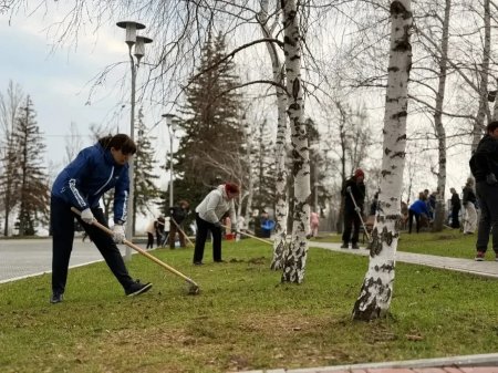 25 апреля в Саратовской области пройдет Всероссийский субботник