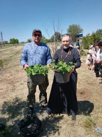 В парке «Дружба» села Александров Гай высадили 100 новых дубков