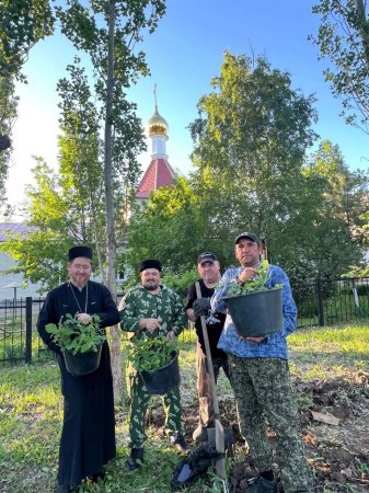 В парке «Дружба» села Александров Гай высадили 100 новых дубков
