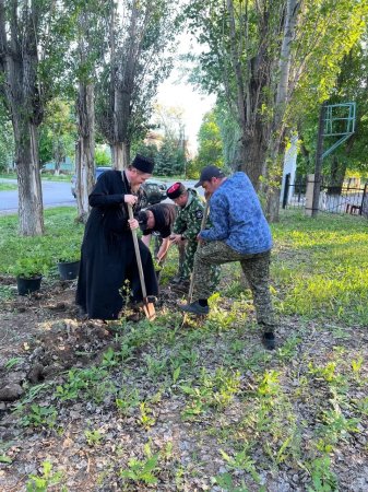 В парке «Дружба» села Александров Гай высадили 100 новых дубков
