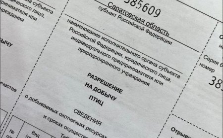 На следующей неделе начинается выдача разрешений на пернатую дичь
