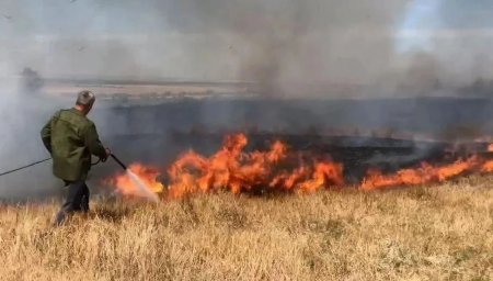 Сумма штрафов за нарушение правил пожарной безопасности на землях лесфонда превысила полмиллиона рублей
