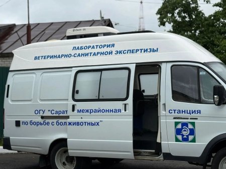 Более 10,3 тонн опасной еды не попало на столы жителей
