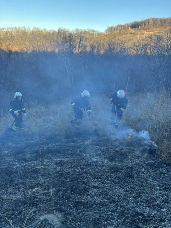 Лесопожарная обстановка у села Лох стабилизирована 
